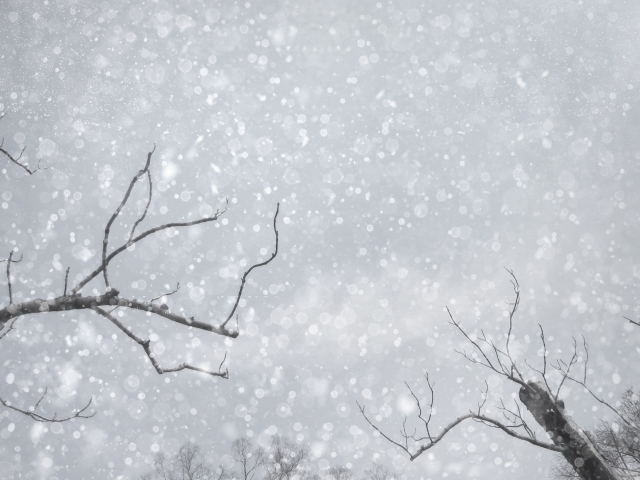 冬　コンディション