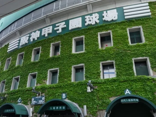 蔦に覆われた甲子園球場の外壁