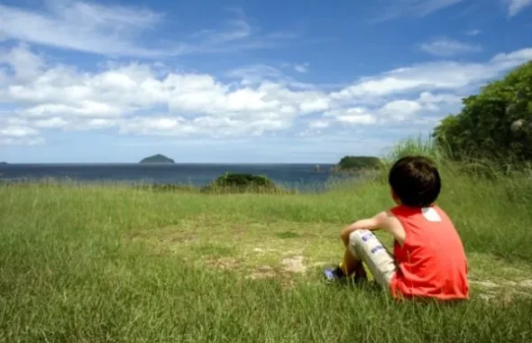 草原に座って海を眺める男の子の後ろ姿